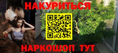 a pvp Дмитров