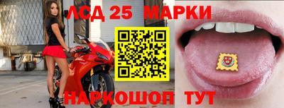 гашик Долгопрудный