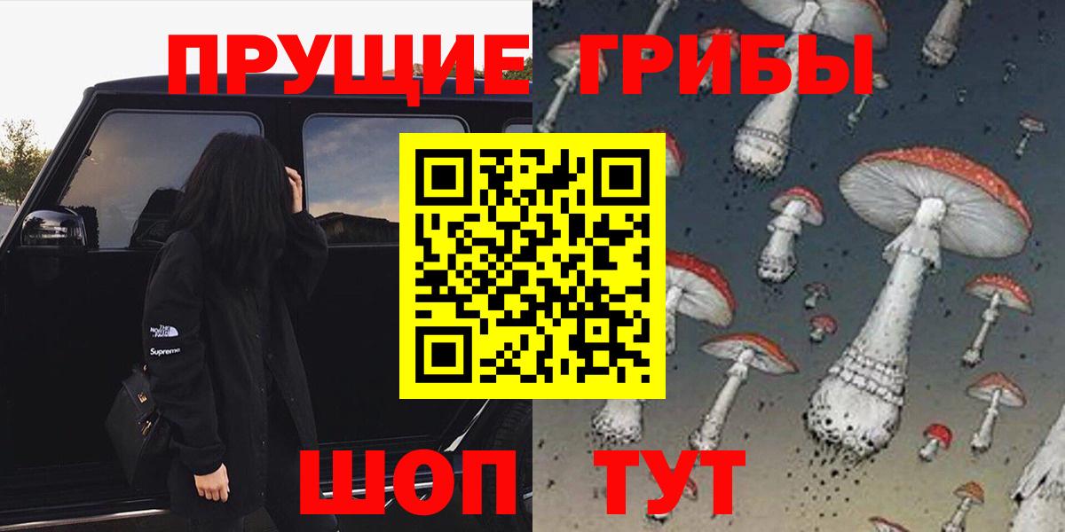 Галлюциногенные грибы Psilocybe Горячий Ключ