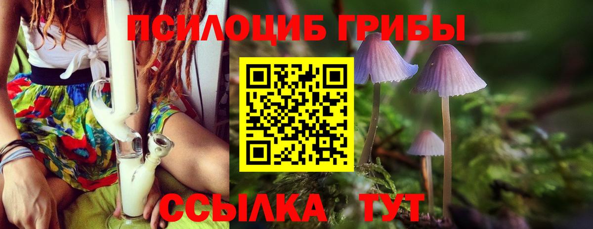 Горячий Ключ  Галлюциногенные грибы Psilocybe  Вход с VPN 